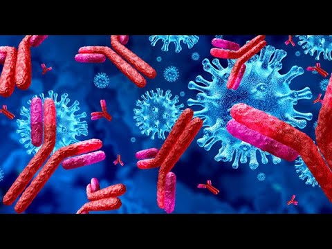 COVID-19 and Antibody tests explained: IgM and IgG antibodies to Coronavirus