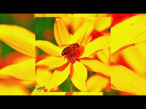 Kio - Summa (feat. KD Coast, Kay Coast, TJ Coast)