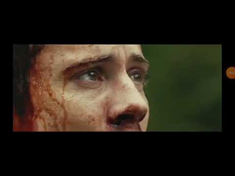 Kong vs lula gigante