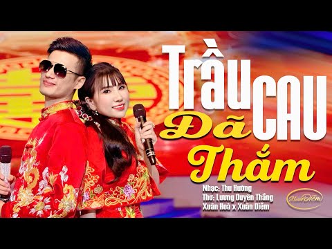 Trầu cau đã thắm - Xuân Hòa