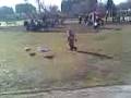 Jack Chasing Seagulls At Blackpool Zoo 3gp