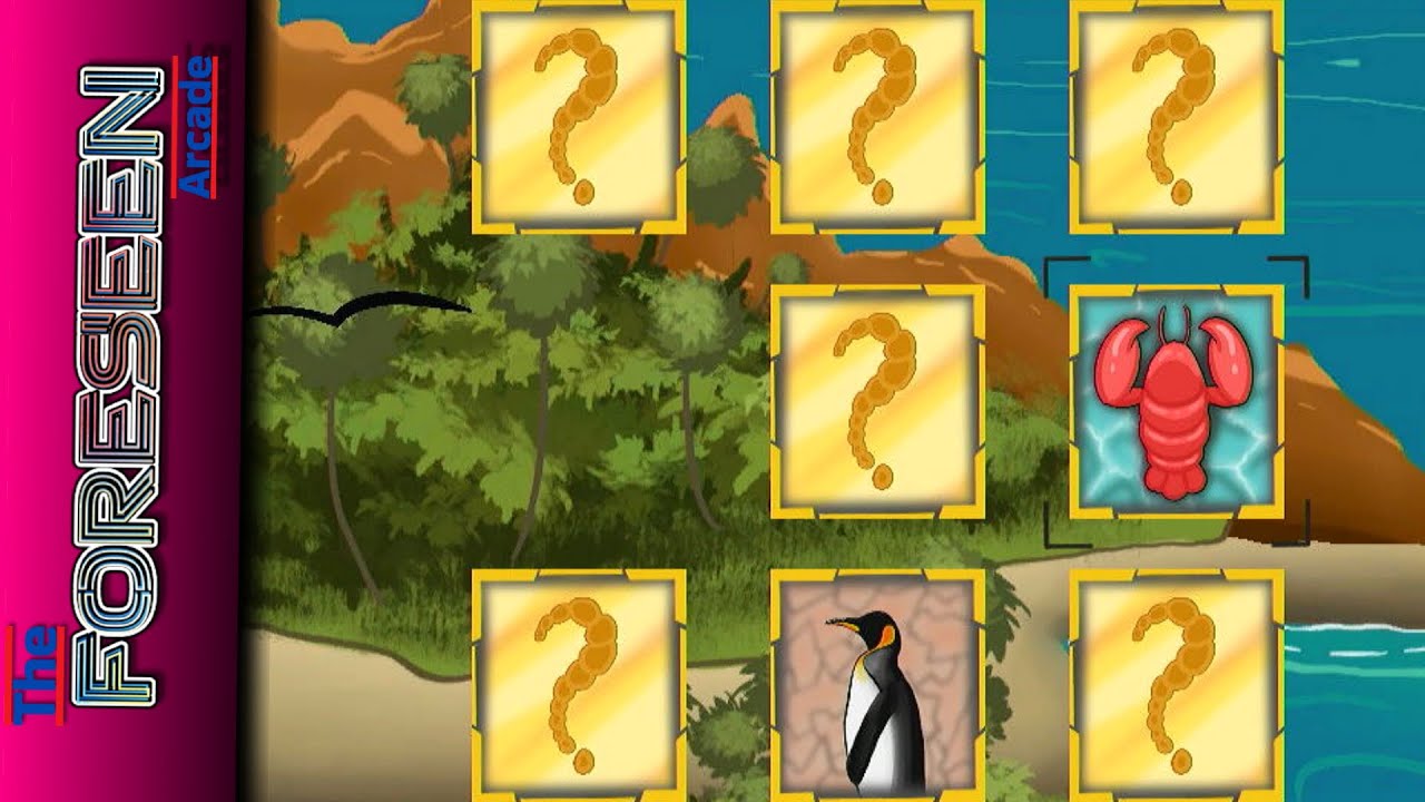Gameplay Video