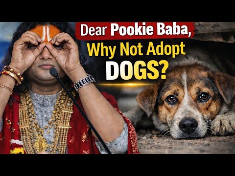 ​Pookie Baba, Please Promote Dog Adoption Too | Stray Dogs Are Dying