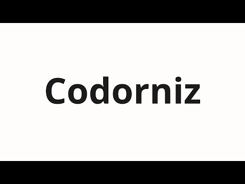 How to pronounce Codorniz