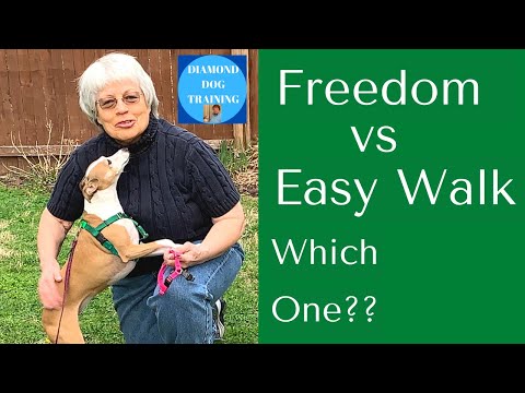 Freedom No Pull Harness vs Easy Walk: Which One To Choose