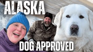 We Built an Alaska Sized Outdoor Break Room for Our Giant Livestock Guardian Dogs