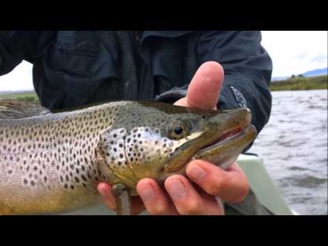 Trout Stalkers   2013 Highlight Reel