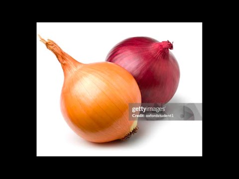 Funny Onion Song - Joost Klein