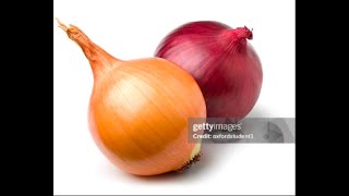 Cover art for funny onion song