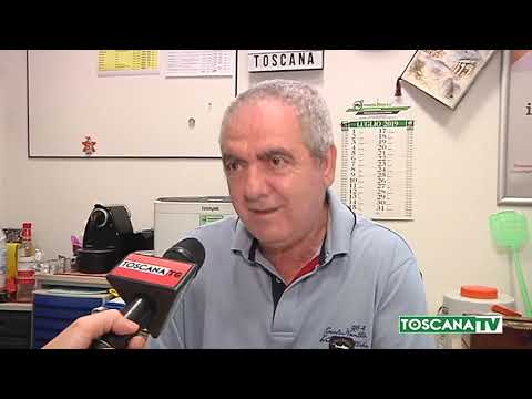 2019-07-25 PRATO - REDDITO DI CITTADINANZA, IMPORTO MEDIO 350 EURO