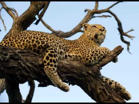 loquai-just_in_time_platunoff_remix