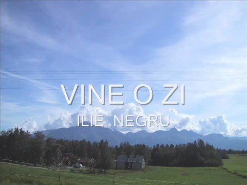VINE O ZI - Ilie A Negru