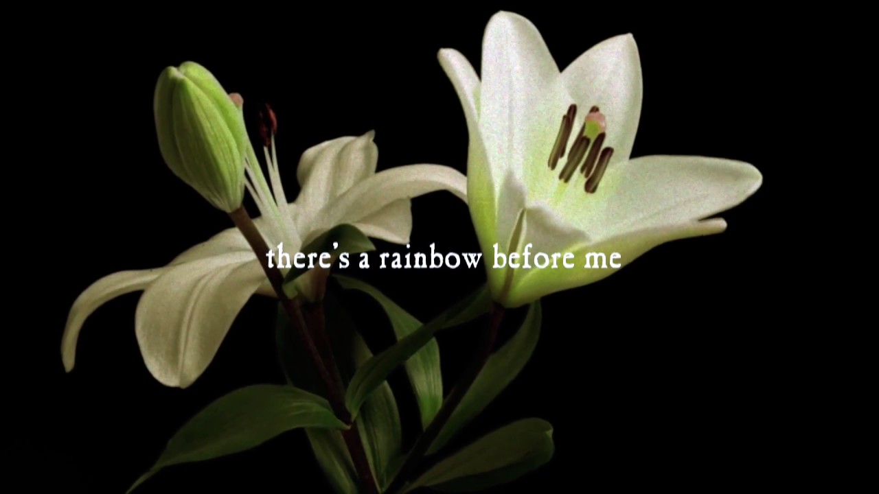 WHAT A DIFFERENCE A DAY MAKES   thumbnail