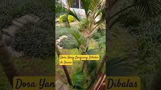 Download lagu Dosa yang Langsung dlDibalas di Dunia #storywa #masjidalhakim #ustadabdulsomad #uas mp3 Download lagu Dosa yang Langsung dlDibalas di Dunia #storywa #masjidalhakim #ustadabdulsomad #uas mp3