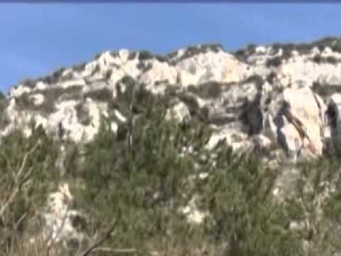 ONDA TG 15.07.2013 - GOLE DI SAN VENANZIO: RITARDI INIZIO LAVORI