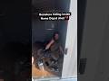 Man & his dog hiding inside Home Depot shed #homeless #dog #shorts