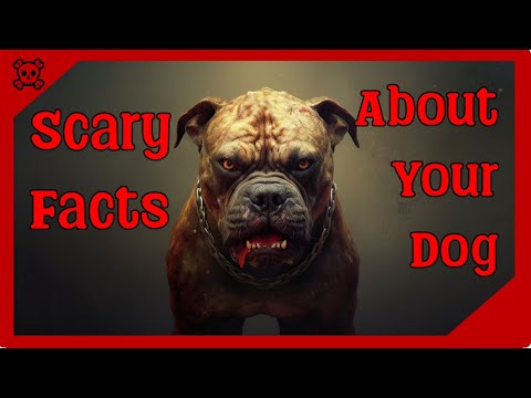 5 Scary Facts About Your Dog 🛑