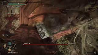 【PS5】エルデンリング DLC 実況なし #4
