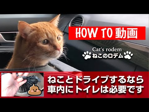 猫のトイレを移動する方法