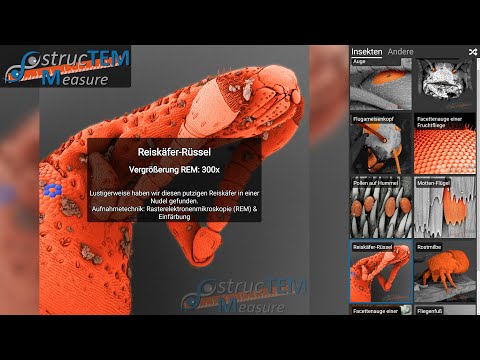 strucTEM Measure, das virtuelle Rasterelektronenmikroskop (de)