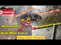 SP RAJA DILAUT MIX BIRAHI MUDA ANAKAN STEREO INAP LIUR77 REVISI 3 SUARA WALET JADI 1 FILE