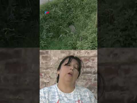 "ESTABA EN UNA BOLSA DE TELA" I Abandonaron a un bebé recién nacido en Quilmes