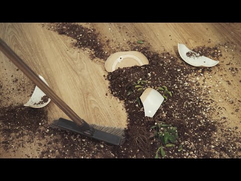 Beautiful, Easy-to-Clean Luxury Vinyl Flooring | Pergo Extreme