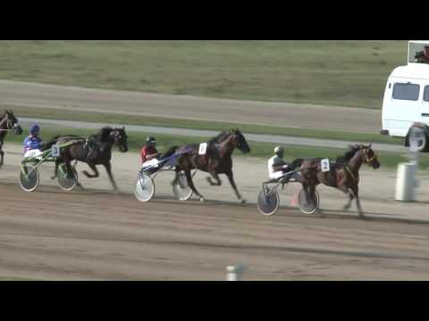 2017.08.05. 8. futam - ÖTÉVESEK NAGYDÍJA