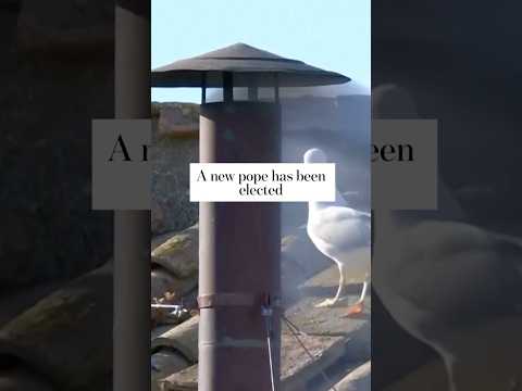 A new pope has been elected