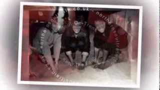 Three Degrees   Givin Up, Givin In