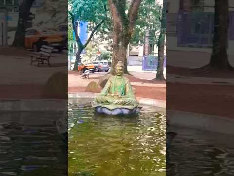 PRAÇA DO JAPÃO: O Oásis de Curitiba! #curitiba