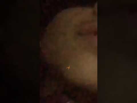 themenol "LA LIBERTÉ"🇲🇦🩸