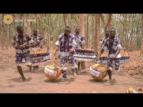 WWD 2021 Music of Wood - Djeboloye by Louwaha