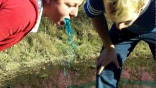 ANN STEEL MY TIME: BARF