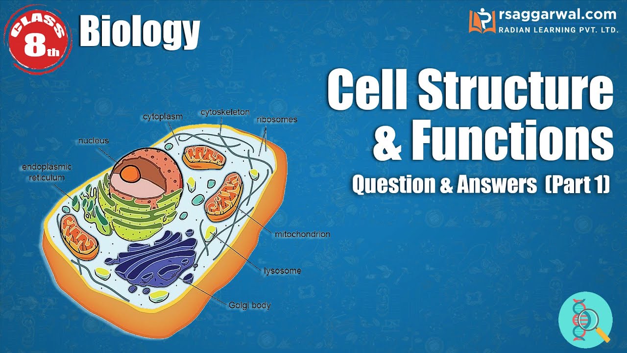 Cell Structure and Functions Questions Answers (Part-1) | Science Class 8 Chapter 8 | Biology