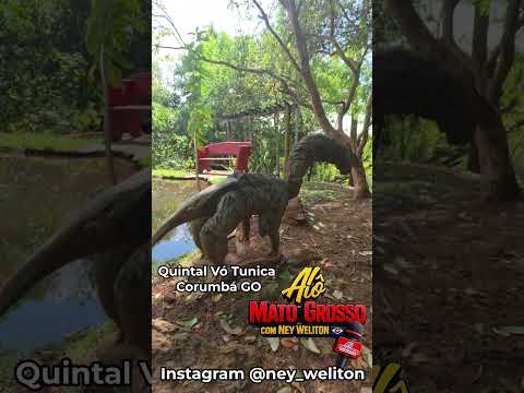 Alô Xavantina Ney Weliton QUINTA VÓ TUNICA EM CORUMBÁ DE GOIÁS 