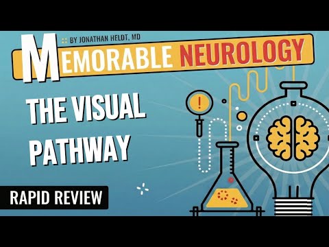 Visual Pathway Mnemonics (Memorable Neurology Lecture 10)
