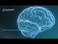 More information on how Ketamine works to heal the brain.