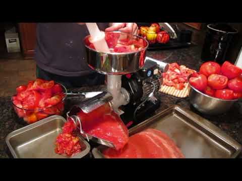 First Use Raw Rutes Reber Tomato Strainer Machine