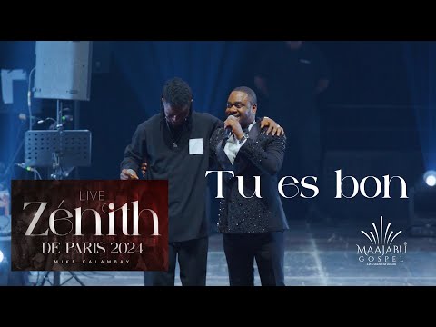 Mike Kalambay feat KS Bloom - Tu es bon (Live Zénith de Paris )