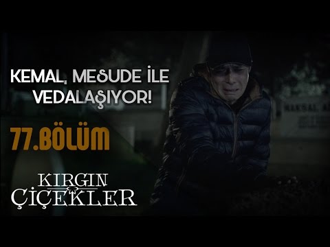 Kırgın Çiçekler 77.Bölüm - Kemal'in Mesude'ye vedası!