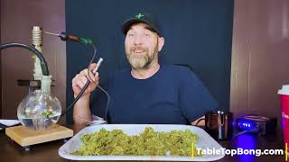 Alien OG strain review - tolerance killer!