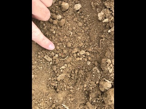 Feldexkursion 198: Aussaat von Raps - NU Agrar, 18.08.2021