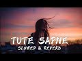 Tute Sapne Bikhre Armaan Kiy Hua Hasil Rahat Fateh Ali Khan Slowed Reverb Song