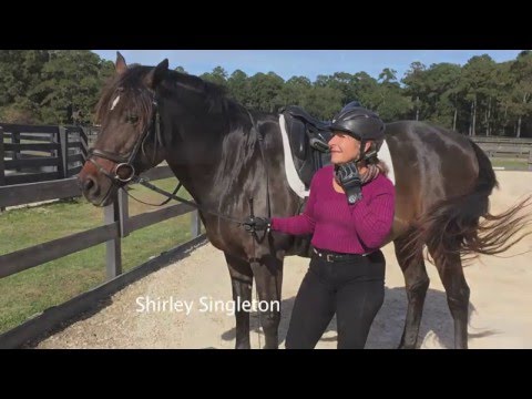 Spring Island Equestriennes