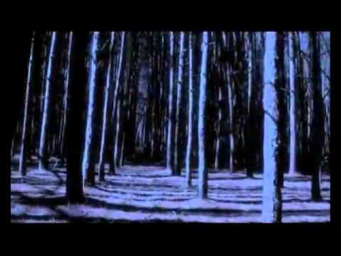 Night School by CJ Daugherty   Official UK Book Trailer