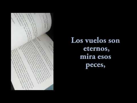 03  Sin título Las estaciones del sol