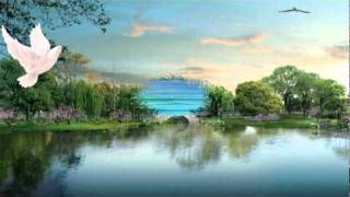 Andreas Vollenweider -- Night Fire Dance