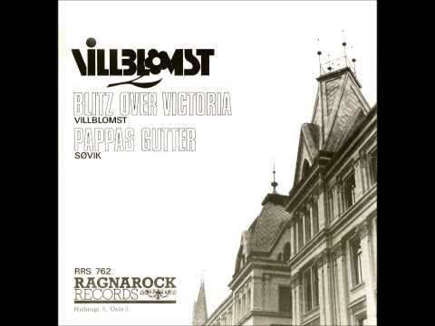 Villblomst:  Blitz over Victoria/Pappas gutter.