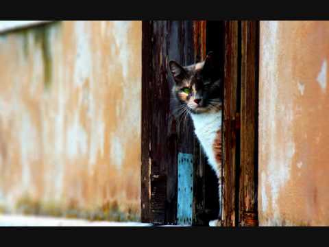 EvilMrSod - Girl With A Gun